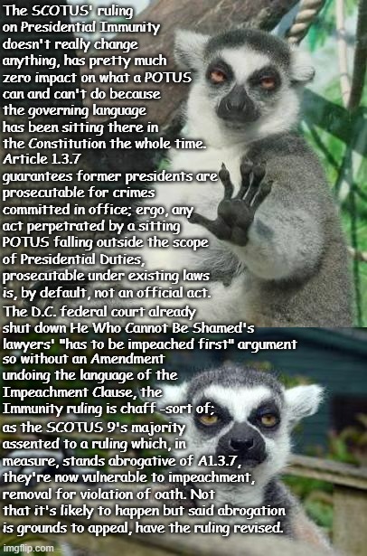 Calm down, everyone -breathe. | The SCOTUS' ruling on Presidential Immunity doesn't really change anything, has pretty much zero impact on what a POTUS can and can't do because the governing language has been sitting there in the Constitution the whole time. Article 1.3.7 guarantees former presidents are prosecutable for crimes committed in office; ergo, any act perpetrated by a sitting POTUS falling outside the scope of Presidential Duties, prosecutable under existing laws is, by default, not an official act. The D.C. federal court already shut down He Who Cannot Be Shamed's lawyers' "has to be impeached first" argument; so without an Amendment undoing the language of the Impeachment Clause, the Immunity ruling is chaff -sort of;; as the SCOTUS 9's majority assented to a ruling which, in measure, stands abrogative of A1.3.7, they're now vulnerable to impeachment, removal for violation of oath. Not that it's likely to happen but said abrogation is grounds to appeal, have the ruling revised. | image tagged in no thanks lemur,lemur is not impressed,no change,stay alert | made w/ Imgflip meme maker