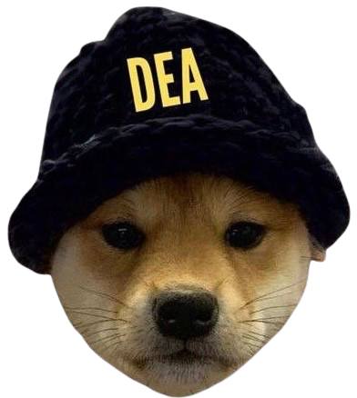 High Quality Dog Enforcement Agency Blank Meme Template