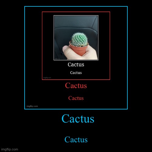 Cactus | Cactus | image tagged in funny,demotivationals | made w/ Imgflip demotivational maker