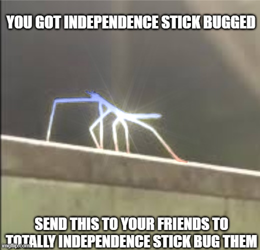 INDEPENDENCE STICK BUG | YOU GOT INDEPENDENCE STICK BUGGED; SEND THIS TO YOUR FRIENDS TO TOTALLY INDEPENDENCE STICK BUG THEM | image tagged in independence day | made w/ Imgflip meme maker