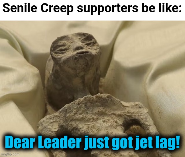 Cold!  Too much travel!  Jet lag! | Senile Creep supporters be like:; Dear Leader just got jet lag! | image tagged in mexican alien,joe biden,memes,dementia,democrats | made w/ Imgflip meme maker