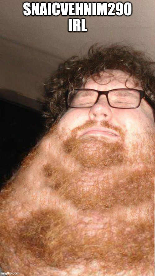obese neckbearded dude | SNAICVEHNIM290 IRL | image tagged in obese neckbearded dude | made w/ Imgflip meme maker