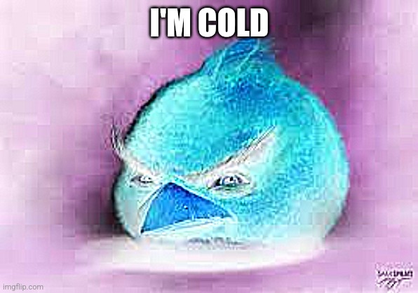 Realistic Red Angry Birds | I'M COLD | image tagged in realistic red angry birds | made w/ Imgflip meme maker