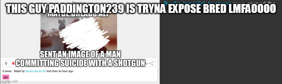 THIS GUY PADDINGTON239 IS TRYNA EXPOSE BRED LMFAOOOO | made w/ Imgflip meme maker