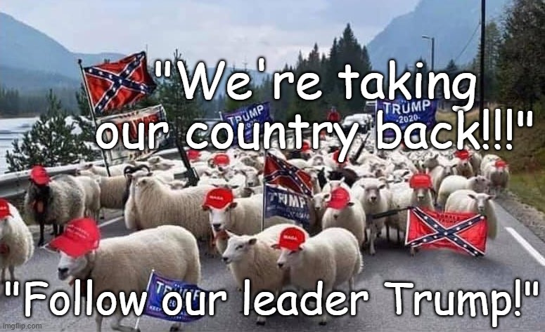 Trump's militant Sheeple taking our country back white supremacist racism fascism | "We're taking our country back!!!"; "Follow our leader Trump!" | image tagged in trump's sheeple protesting riot white supremacist,republican,election,violence,treason | made w/ Imgflip meme maker