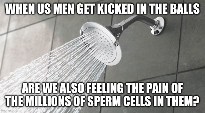 MAYBE THAT’S WHY IT HURTS A LOT | WHEN US MEN GET KICKED IN THE BALLS; ARE WE ALSO FEELING THE PAIN OF THE MILLIONS OF SPERM CELLS IN THEM? | image tagged in shower thoughts | made w/ Imgflip meme maker