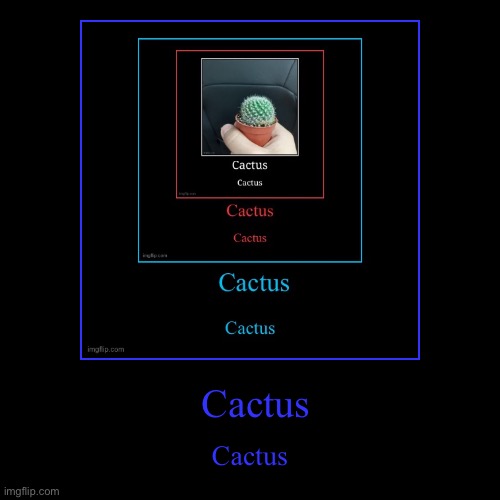 Cactus | Cactus | Cactus | image tagged in funny,demotivationals | made w/ Imgflip demotivational maker