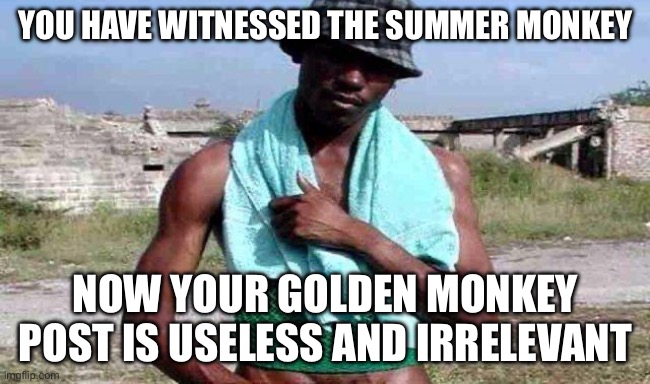 negro-whatsapp | YOU HAVE WITNESSED THE SUMMER MONKEY NOW YOUR GOLDEN MONKEY POST IS USELESS AND IRRELEVANT | image tagged in negro-whatsapp | made w/ Imgflip meme maker