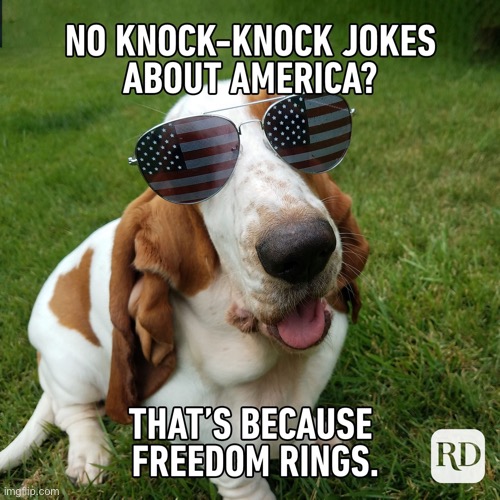 you got that right | image tagged in fourth of july,funny,meme,knock knock,let freedom ring | made w/ Imgflip meme maker
