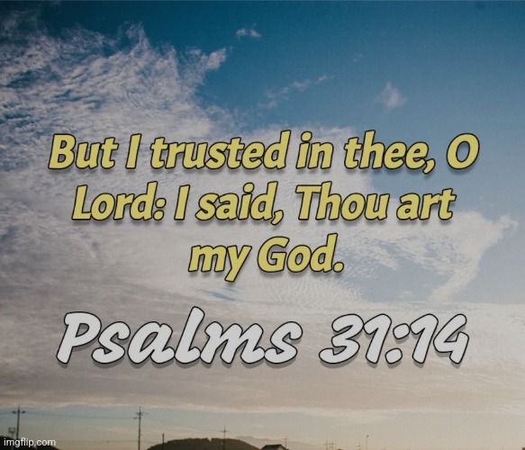 image tagged in psalms 31 14 | made w/ Imgflip meme maker