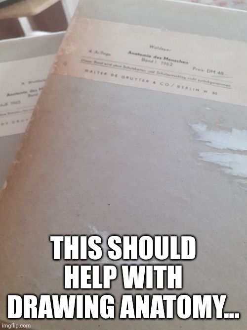 1962 | THIS SHOULD HELP WITH DRAWING ANATOMY... | made w/ Imgflip meme maker
