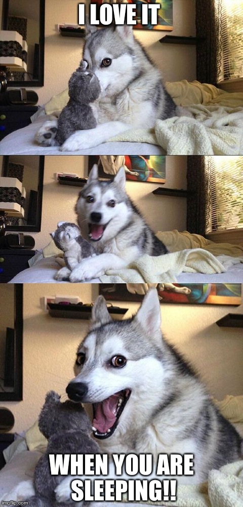 Bad Pun Dog | I LOVE IT  WHEN YOU ARE SLEEPING!! | image tagged in memes,bad pun dog | made w/ Imgflip meme maker