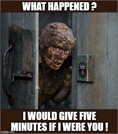 I Need More Information ! | WHAT HAPPENED ? I WOULD GIVE FIVE MINUTES IF I WERE YOU ! | image tagged in toilet,five minutes,dark humour | made w/ Imgflip meme maker