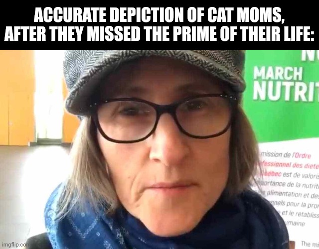 That Vegan Teacher Meme | ACCURATE DEPICTION OF CAT MOMS, AFTER THEY MISSED THE PRIME OF THEIR LIFE: | image tagged in that vegan teacher meme | made w/ Imgflip meme maker