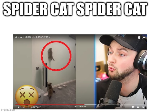 video in comments | SPIDER CAT SPIDER CAT | image tagged in blank white template | made w/ Imgflip meme maker