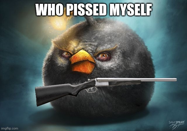 angry birds bomb | WHO PISSED MYSELF | image tagged in angry birds bomb | made w/ Imgflip meme maker