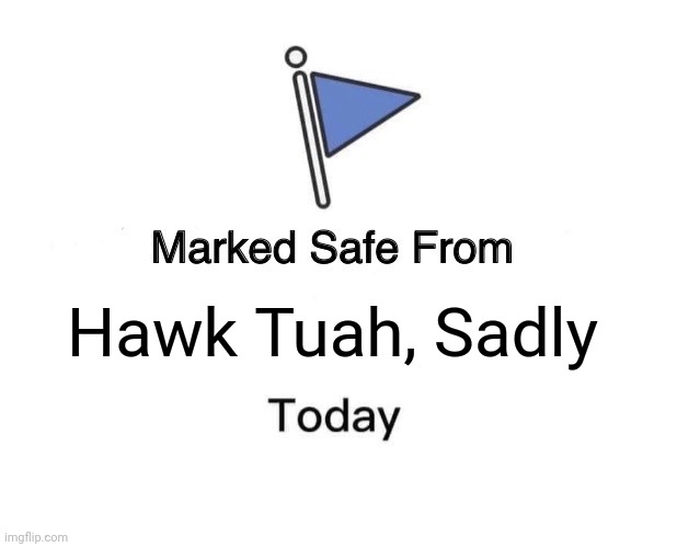 Marked Safe From | Hawk Tuah, Sadly | image tagged in memes,marked safe from | made w/ Imgflip meme maker