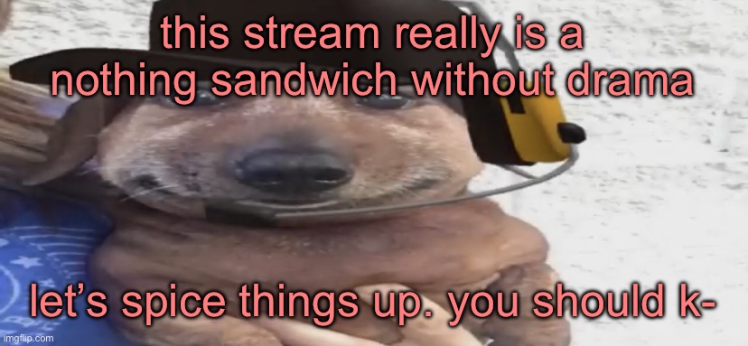 chucklenuts | this stream really is a nothing sandwich without drama; let’s spice things up. you should k- | image tagged in chucklenuts | made w/ Imgflip meme maker