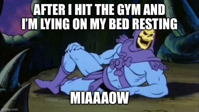 Sexy Skeletor | AFTER I HIT THE GYM AND I’M LYING ON MY BED RESTING; MIAAAOW | image tagged in sexy skeletor | made w/ Imgflip meme maker