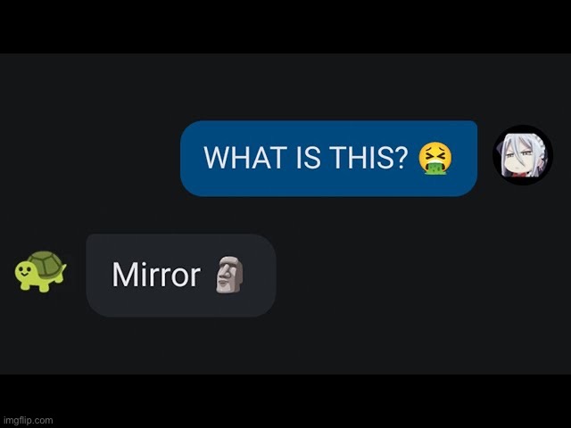 Mirror | image tagged in mirror | made w/ Imgflip meme maker