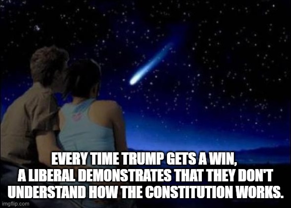 shooting star | EVERY TIME TRUMP GETS A WIN, 
A LIBERAL DEMONSTRATES THAT THEY DON'T UNDERSTAND HOW THE CONSTITUTION WORKS. | image tagged in shooting star | made w/ Imgflip meme maker