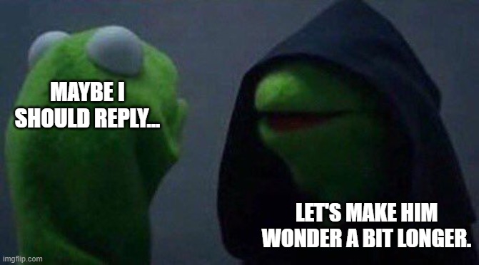 kermit | MAYBE I SHOULD REPLY... LET'S MAKE HIM WONDER A BIT LONGER. | image tagged in kermit me to me | made w/ Imgflip meme maker