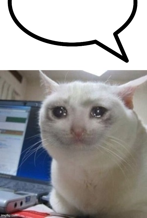 image tagged in speech bubble transparent,crying cat | made w/ Imgflip meme maker