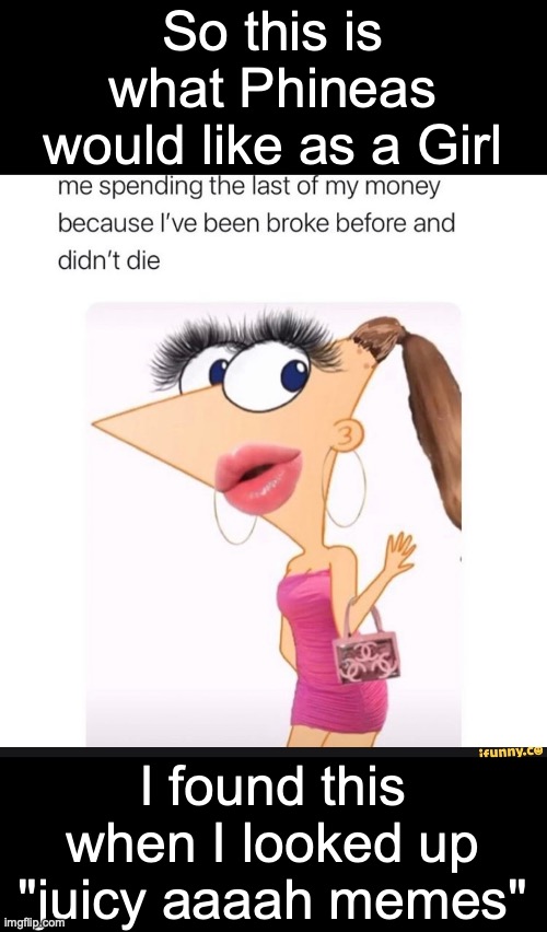 Juicy aaaah | So this is what Phineas would like as a Girl; I found this when I looked up "juicy aaaah memes" | image tagged in phineas and ferb,girls,makeup | made w/ Imgflip meme maker