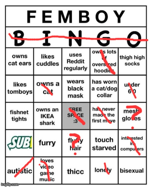 Femboy Bingo | image tagged in femboy bingo | made w/ Imgflip meme maker