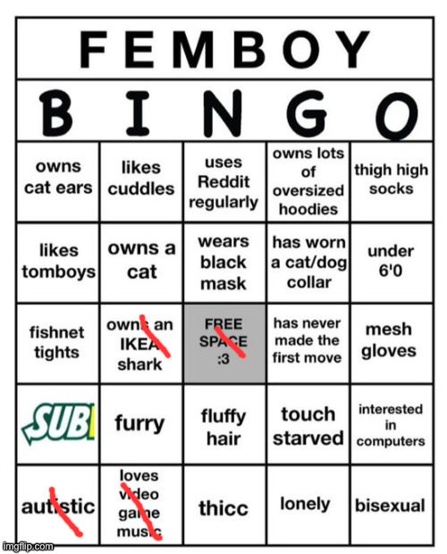 i'm so good at bingo omg | image tagged in femboy bingo | made w/ Imgflip meme maker