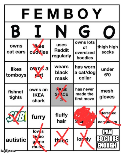 damn. | PAN SO CLOSE ENOUGH | image tagged in femboy bingo | made w/ Imgflip meme maker