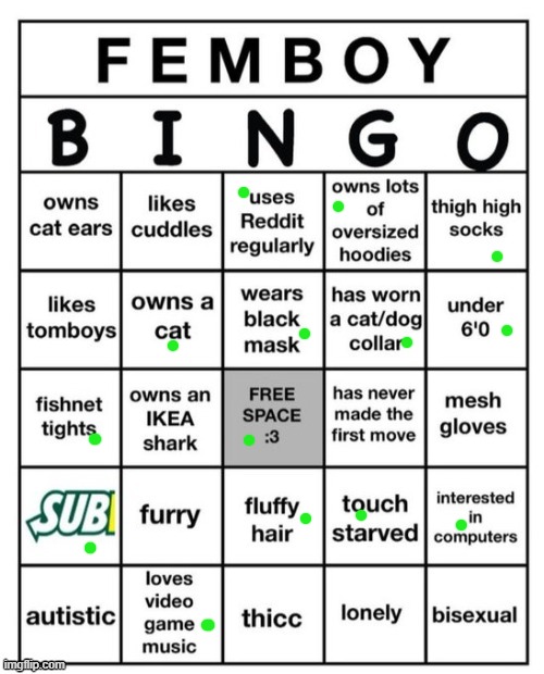 Femboy Bingo | image tagged in femboy bingo | made w/ Imgflip meme maker