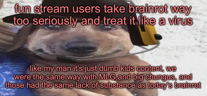 Like, not having watched videos aimed towards kids is NOT a flex | fun stream users take brainrot way too seriously and treat it like a virus; like my man it’s just dumb kids content, we were the same way with MLG and big chungus, and those had the same lack of substance as today’s brainrot | image tagged in chucklenuts | made w/ Imgflip meme maker