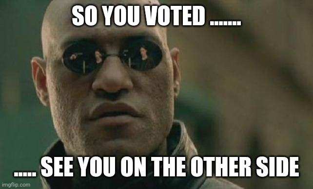 Voted | SO YOU VOTED ....... ..... SEE YOU ON THE OTHER SIDE | image tagged in memes,matrix morpheus | made w/ Imgflip meme maker