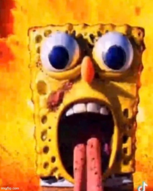 the fuck | made w/ Imgflip meme maker