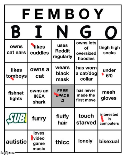 WHAT!? I'm NOT a femboy? crazy. | image tagged in femboy bingo | made w/ Imgflip meme maker