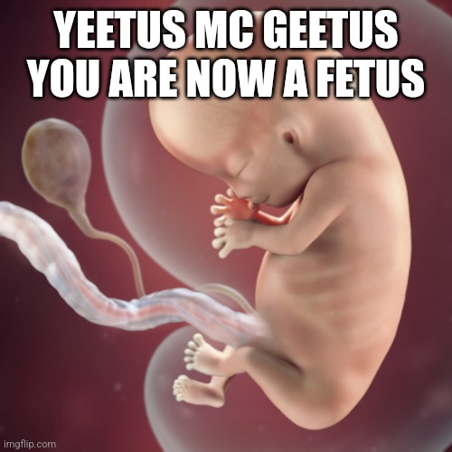 10 Week Fetus | YEETUS MC GEETUS YOU ARE NOW A FETUS | image tagged in 10 week fetus | made w/ Imgflip meme maker