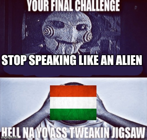 your final challenge | STOP SPEAKING LIKE AN ALIEN | image tagged in your final challenge | made w/ Imgflip meme maker