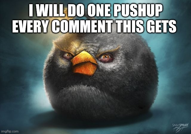 angry birds bomb | I WILL DO ONE PUSHUP EVERY COMMENT THIS GETS | image tagged in angry birds bomb | made w/ Imgflip meme maker