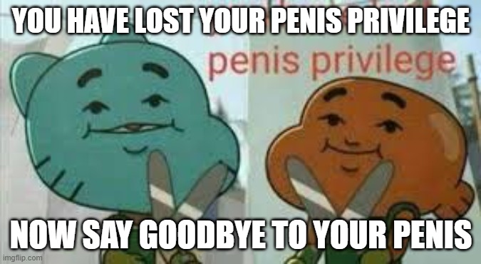 You have lost penis privileges | YOU HAVE LOST YOUR PENIS PRIVILEGE; NOW SAY GOODBYE TO YOUR PENIS | image tagged in you have lost penis privileges | made w/ Imgflip meme maker