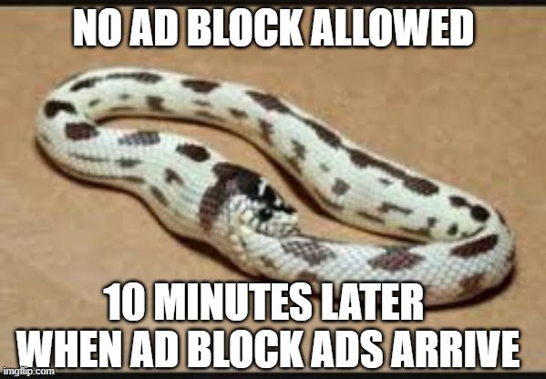 Sneaky sneak Ad Block peak | NO AD BLOCK ALLOWED; 10 MINUTES LATER 
WHEN AD BLOCK ADS ARRIVE | image tagged in snake eating tail,funny memes,youtube | made w/ Imgflip meme maker