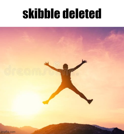 can't wait for his 12 other alts | skibble deleted | made w/ Imgflip meme maker