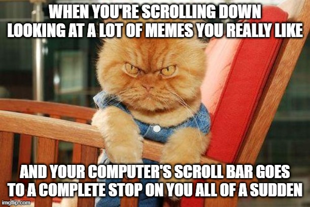 This is total bullshit | WHEN YOU'RE SCROLLING DOWN LOOKING AT A LOT OF MEMES YOU REALLY LIKE; AND YOUR COMPUTER'S SCROLL BAR GOES TO A COMPLETE STOP ON YOU ALL OF A SUDDEN | image tagged in mad cat,memes,relatable,scumbag,computers/electronics,lag | made w/ Imgflip meme maker