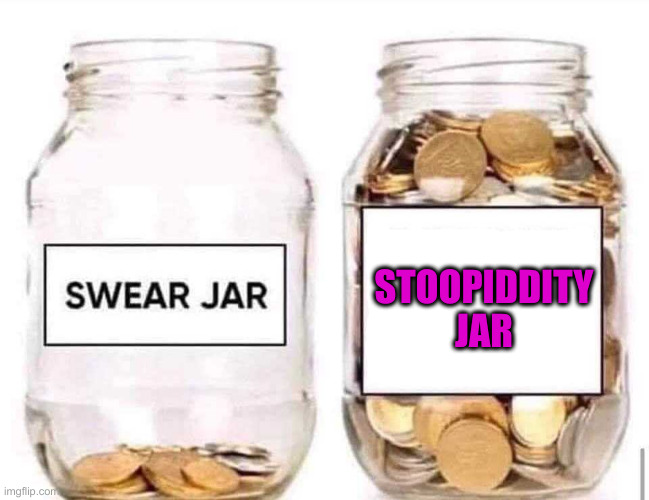 Swear Jar | STOOPIDDITY JAR | image tagged in swear jar | made w/ Imgflip meme maker