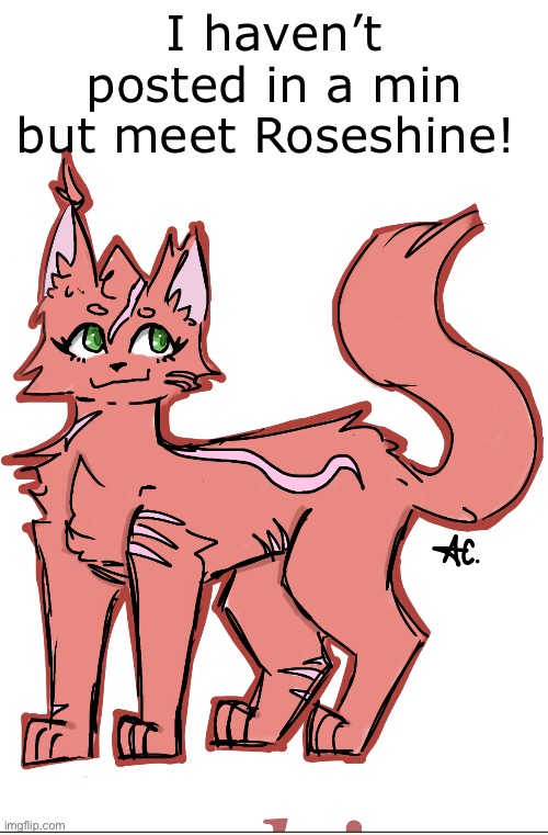 I need to think of a backstory for her | I haven’t posted in a min but meet Roseshine! | made w/ Imgflip meme maker