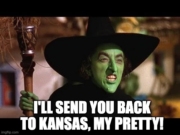 Wicked witch of the west | I'LL SEND YOU BACK TO KANSAS, MY PRETTY! | image tagged in wicked witch of the west | made w/ Imgflip meme maker