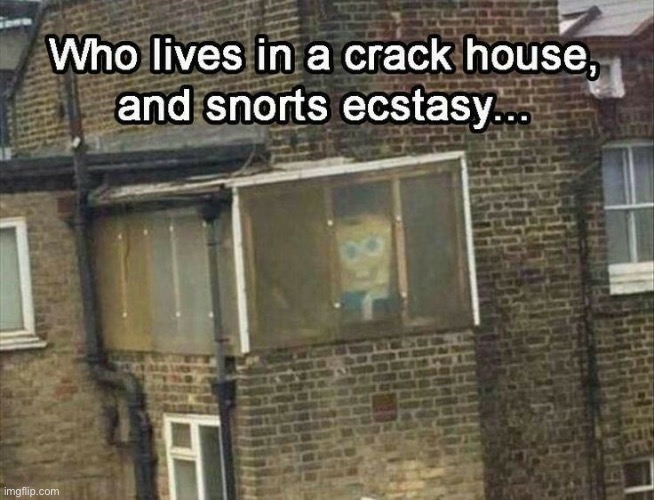 Spong Bog Shatpants | made w/ Imgflip meme maker