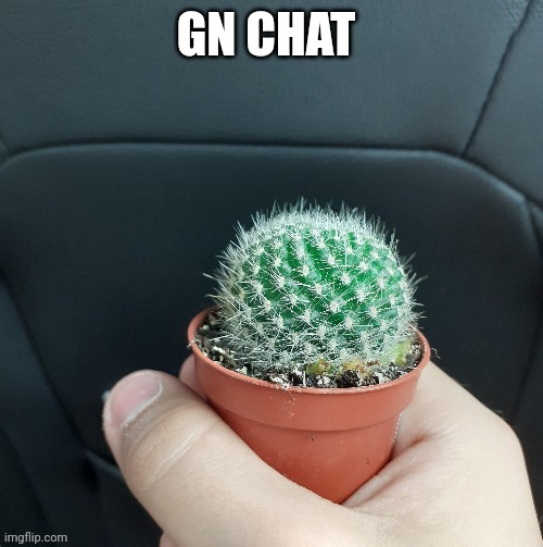 GN CHAT | made w/ Imgflip meme maker