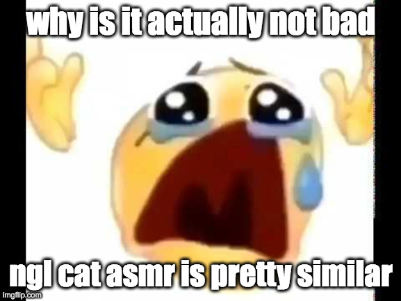 honestly you could change "furry" to "cat" and keep the sounds the same and it'd be fine | why is it actually not bad; ngl cat asmr is pretty similar | image tagged in cursed crying emoji | made w/ Imgflip meme maker