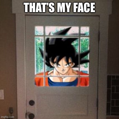 Goku appears at your door | THAT’S MY FACE | image tagged in goku appears at your door | made w/ Imgflip meme maker